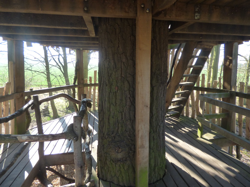 Tree Hide at Moseley Old Hall first level A late Februar… Flickr