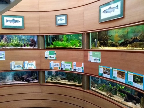 AQUARIUM PANORAMIQUE Forte de 18 bassins de 300 litres