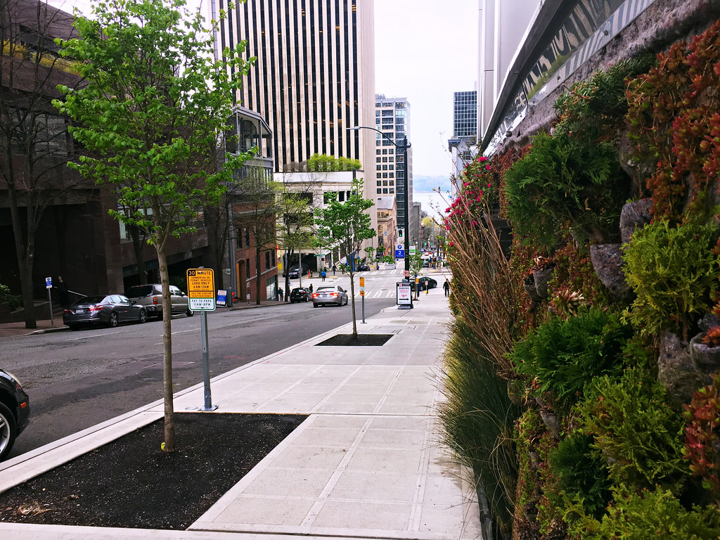 Living wall on Columbia St downtown SDOT Photos Flickr