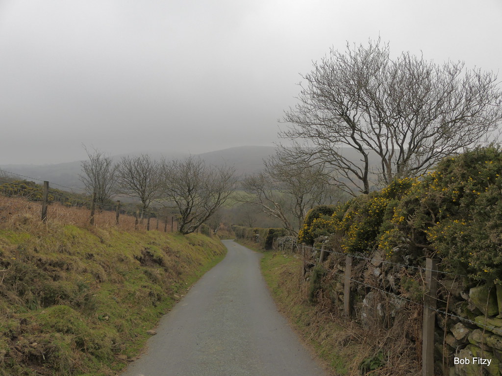 _1110684 Road to Shallowford bobfitzy62 Flickr