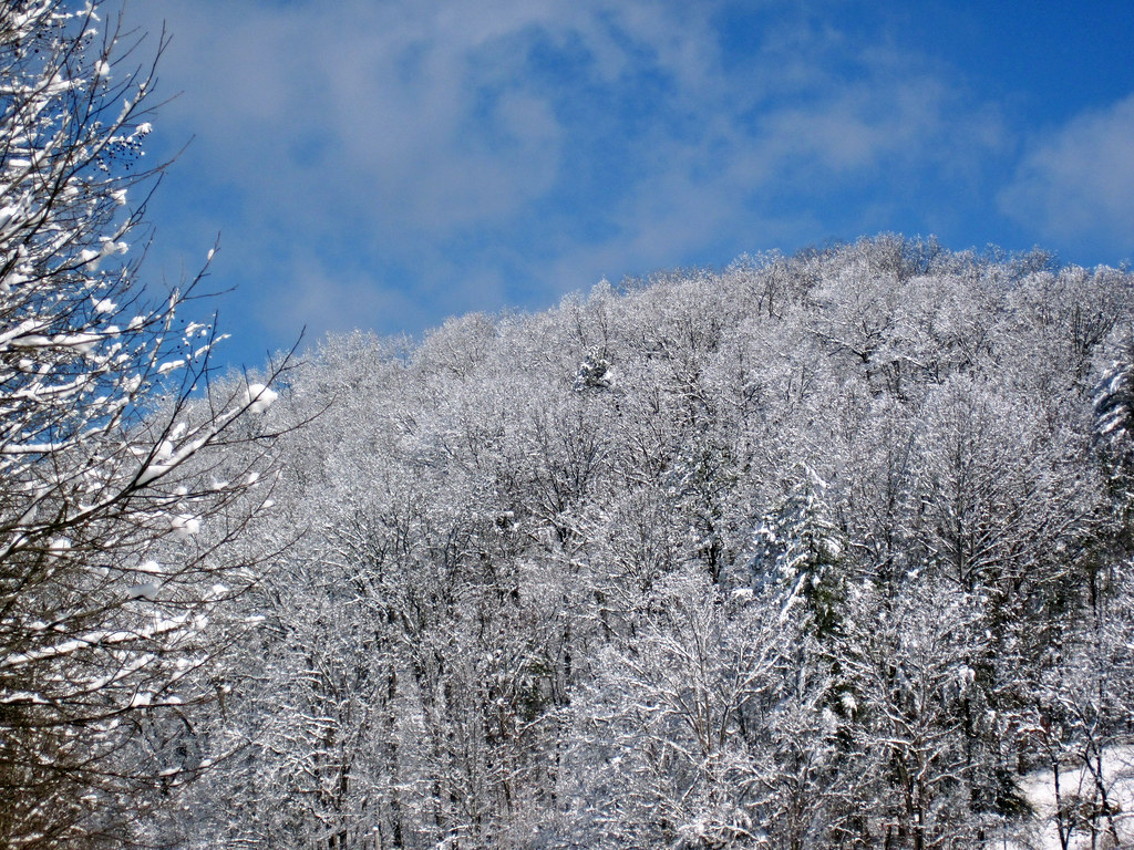 Snow from Winter Storm Skylar (12 March 2018) (south of Frenchburg