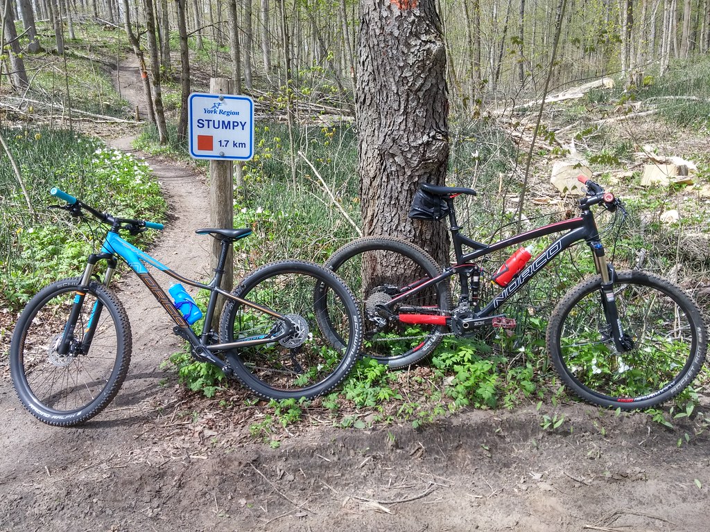 5bd7b01c2954220180512_113540_HDR York Region Flickr