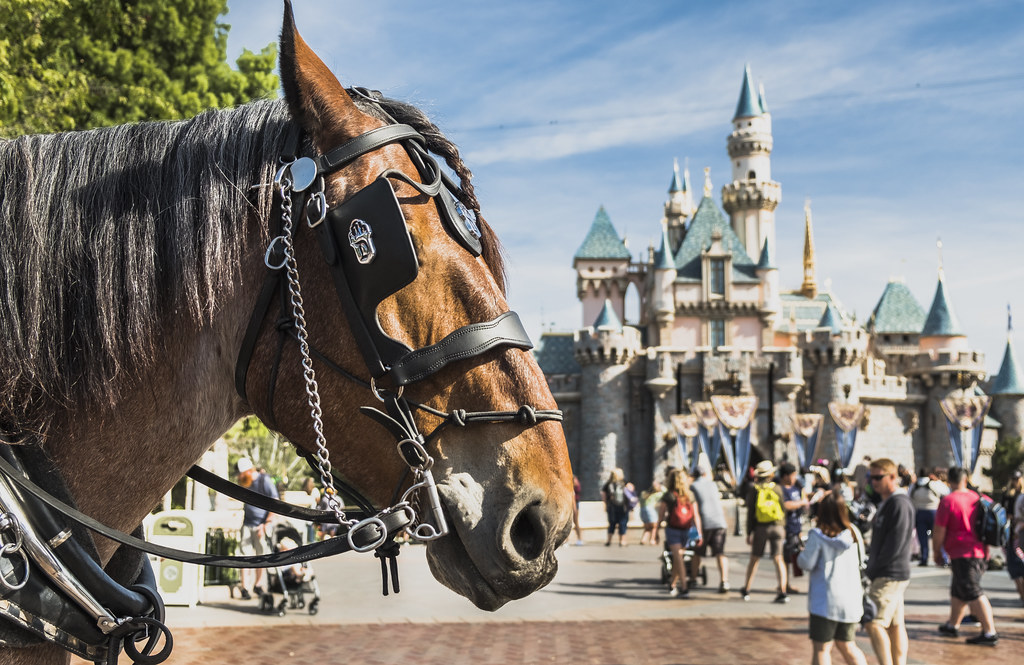 Horse & Castle James Palmer Flickr