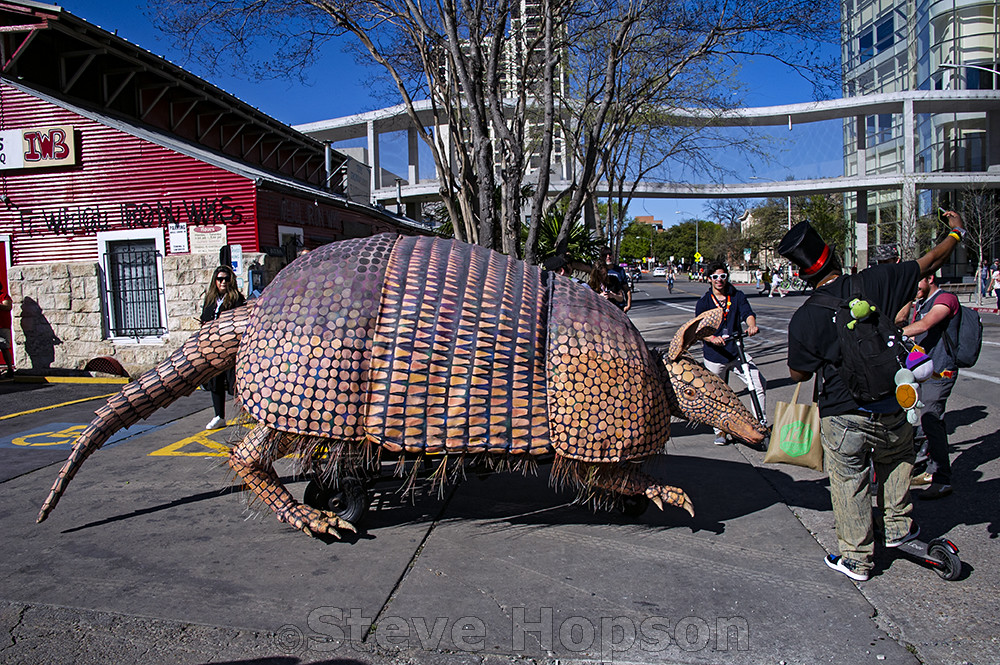 Giant Armadillo Unleashed in Austin! a photo on Flickriver