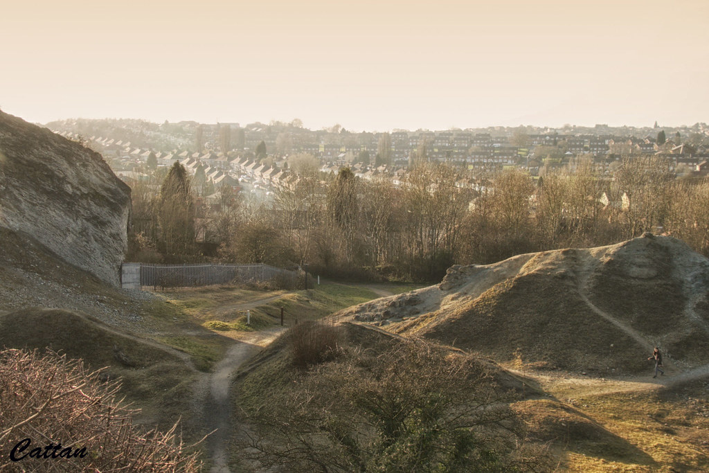 Wren's nest, Dudley, England Wren's nest, Dudley, England Flickr