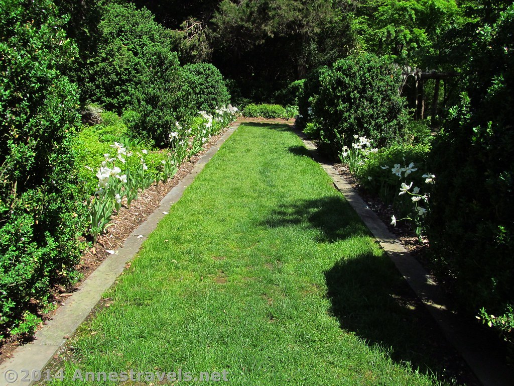 Pan Garden Pan Garden where all the flowers are white … Flickr