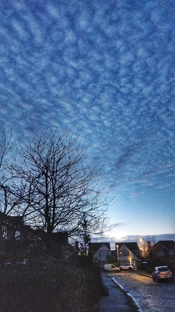 14 1 Morning dog walks are getting lighter Johnclimber Flickr