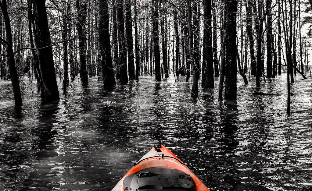 Cut through Seaforth Beach Jordan Lake, North Carolina, US… ε βean