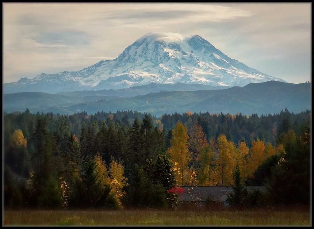 November View A November view of Mt. Rainier as see from a… Flickr