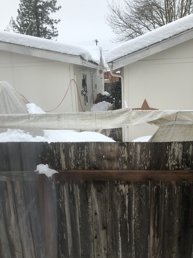 Creswell Oregon Snow Feb 2019 Chris Campbell Flickr