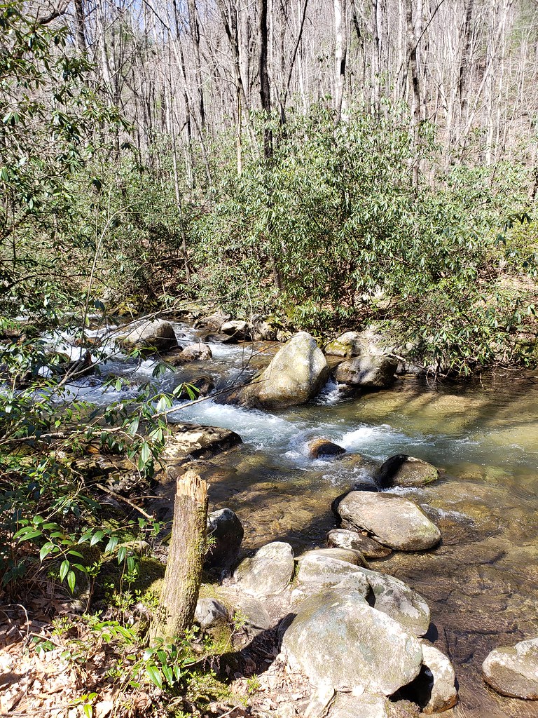Jones Gap State Park Dag Arcadia Flickr