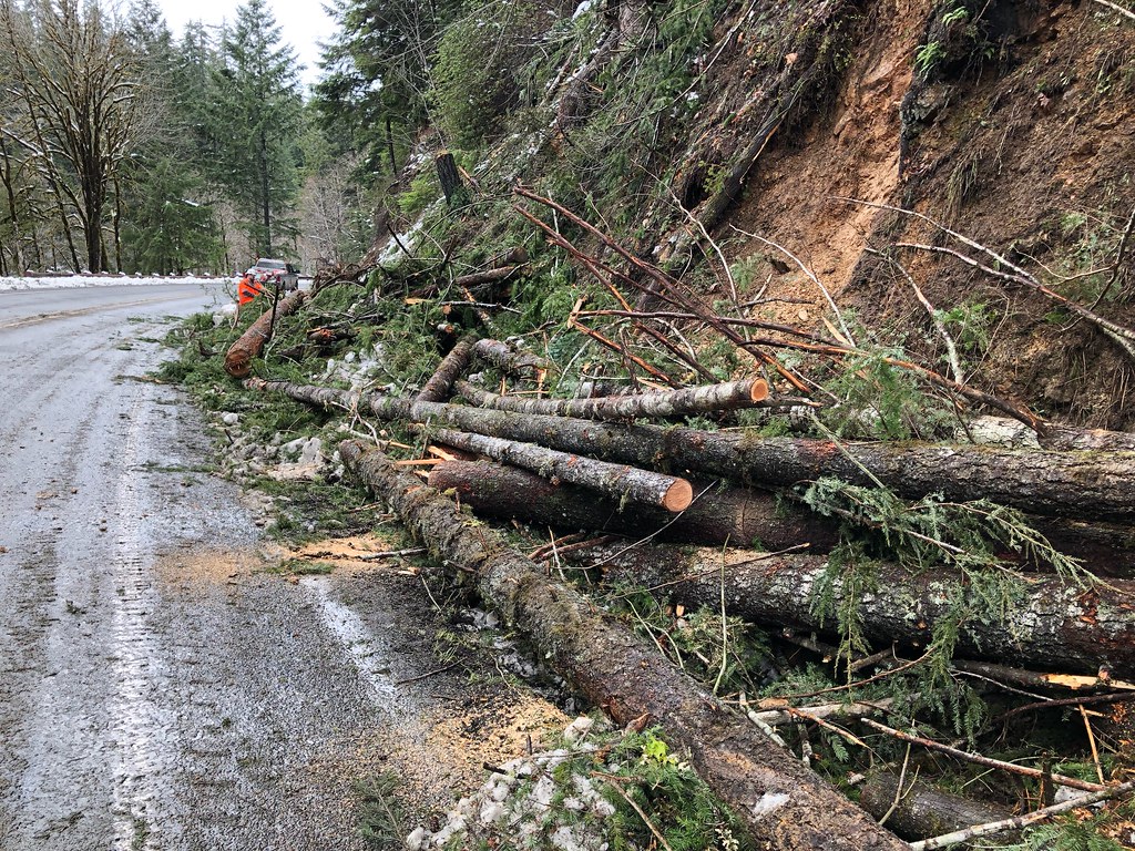 OR 138E tree removal Oregon 138 E (North Umpqua Highway) w… Flickr