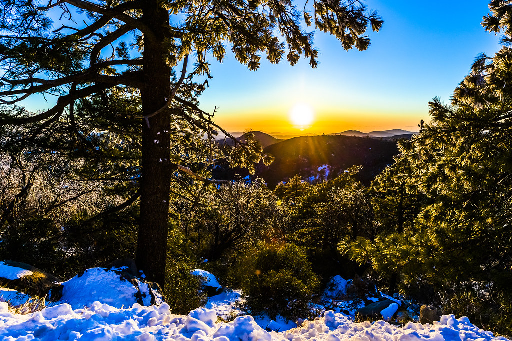 Mount Laguna Sunset With Snow and Ice In the Trees Flickr