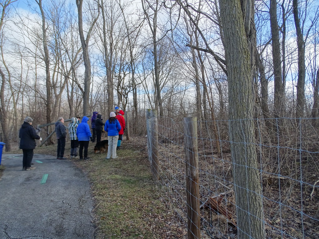 Woodlands of Bedford Forbes Woods 32319 Flickr