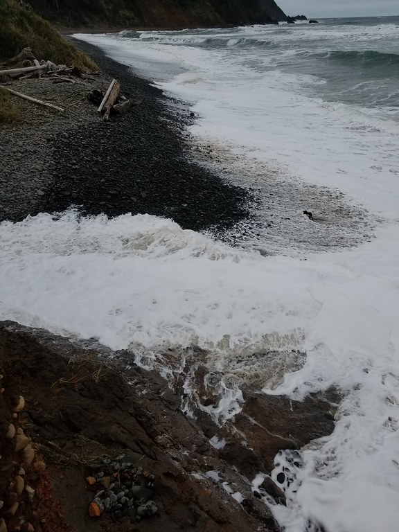 Falcon Cove Taken 12/22/18 Direction South Photo by Jeff … Oregon