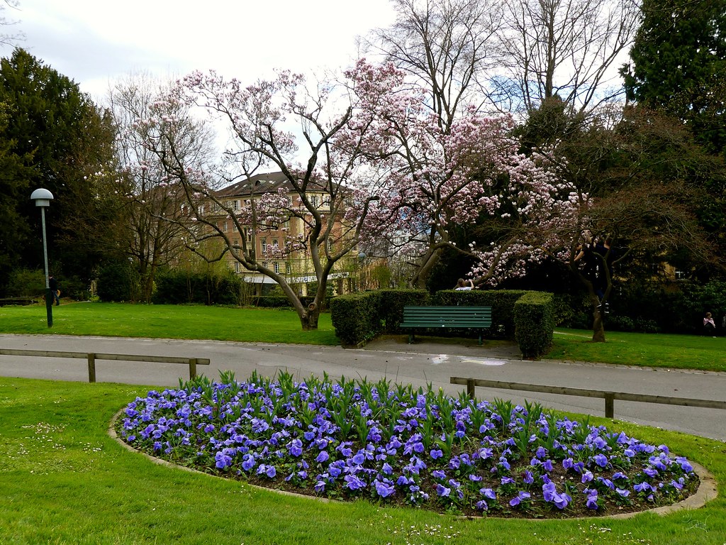 Parc de MonRepos Lausanne, printemps. ElectricActions1983 Flickr