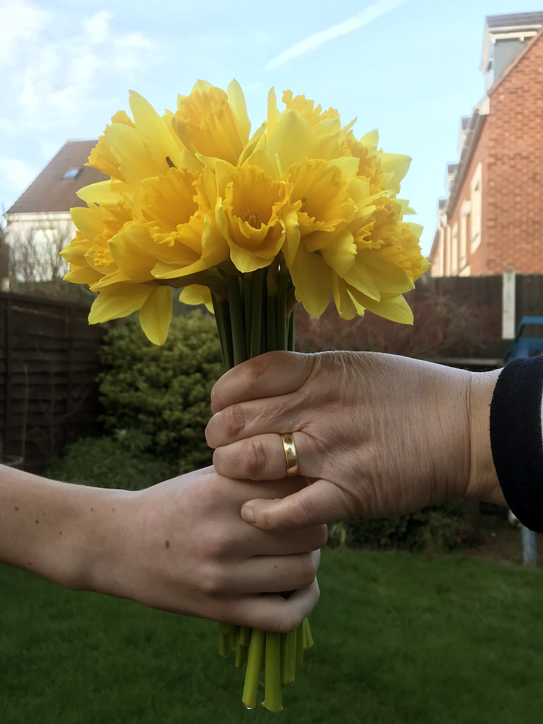 Mother's Day flowers stock photo Stock photo image of a yo… Flickr