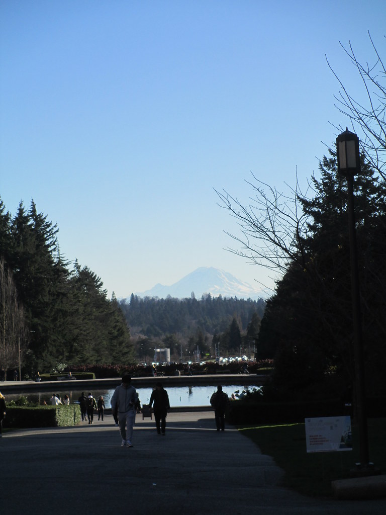 Mount Rainier vista from UW campus Sherman Clarke Flickr