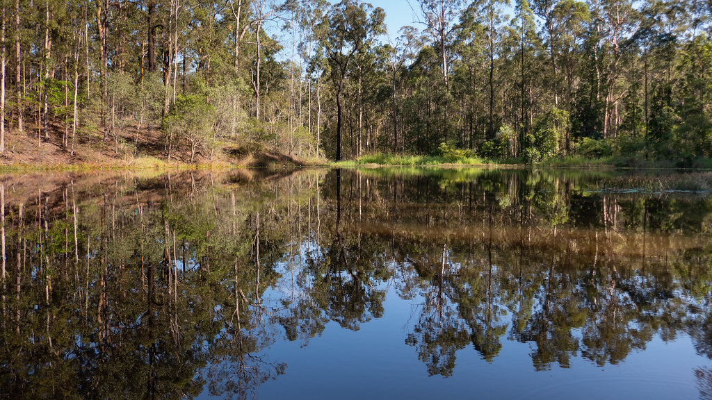 Billabong in Bunyaville Conservation Park . Jan van Dijk Flickr