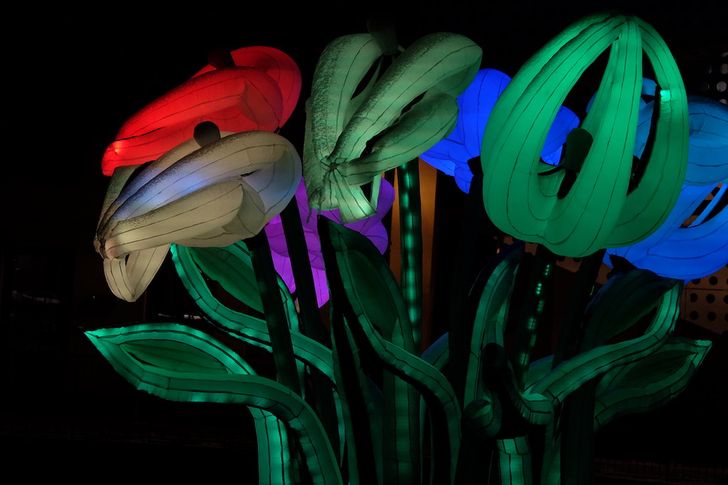 Norrköping Light Festival 20182019 Flickr