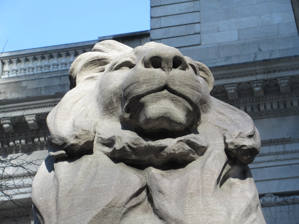 2019 Lions New York Public Library 42nd St NYC 3136 Flickr