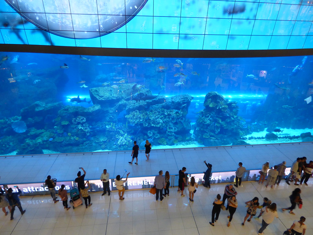 Dubai Shopping Mall Aquarium