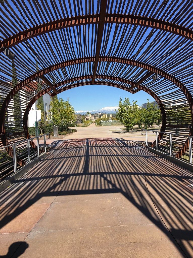 CoronaDos Lagos Feb 2019 Flickr