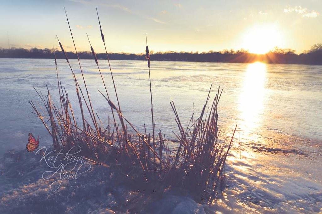 Lily Lake in Lakemoor, Illinois Kathy Flickr
