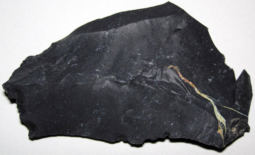 Zaleski Flint (Middle Pennsylvanian; west of Creola, north… Flickr