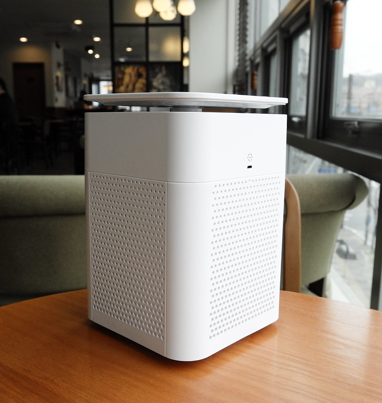 Do air purifiers help with dog hair? Keep your home hairfree