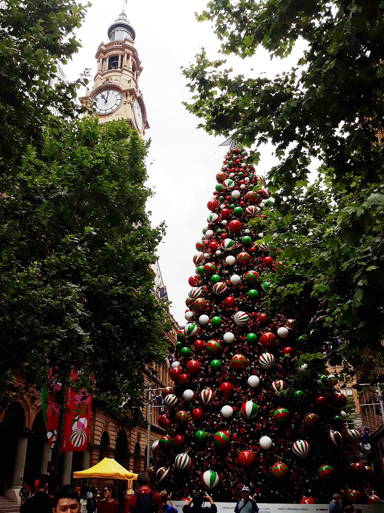 Martin Place, Sydney, Christmas Tree Large Christmas Tree … Flickr