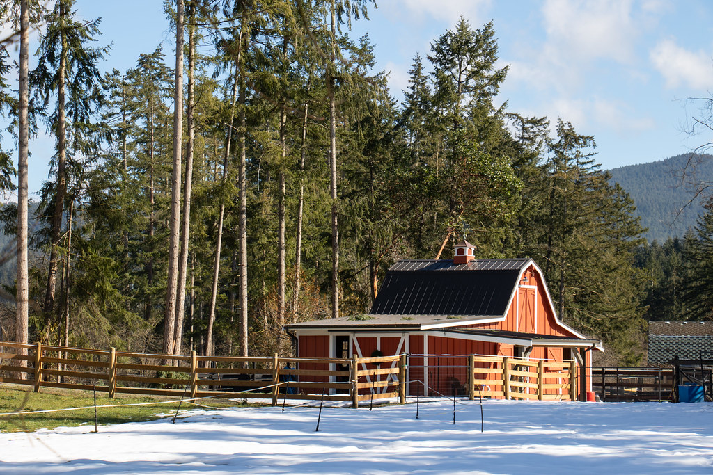 Richards Trail Cowichan Valley, Vancouver Island, BC Rob de Lange Flickr