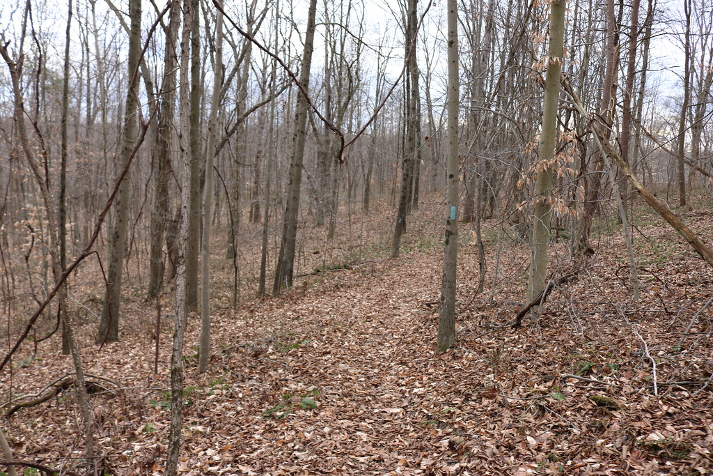 Boch Hollow State Nature Preserve Logan, Ohio Dan Keck Flickr