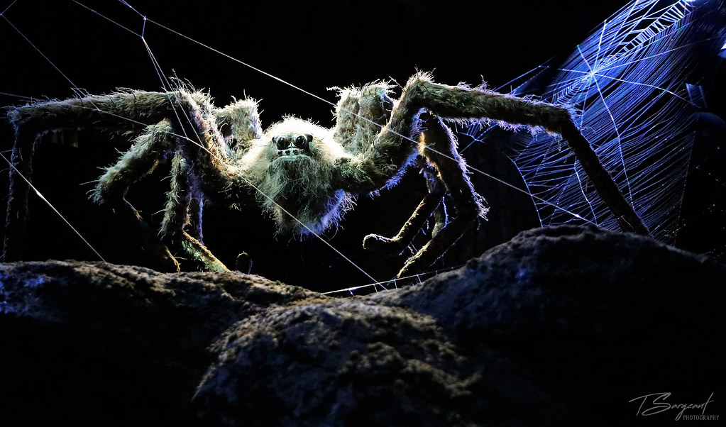 harry potter spider Aragon is a big hairy beast best give … Flickr