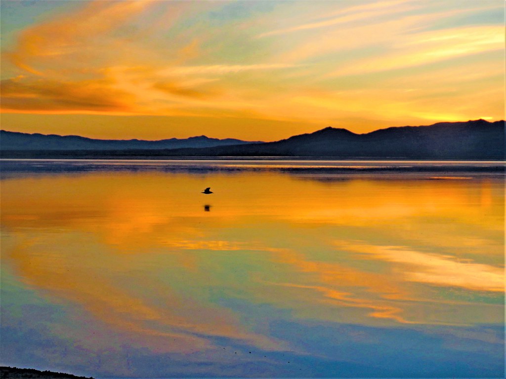 salton sea sunset , California The Salton Sea is giant lak… Flickr