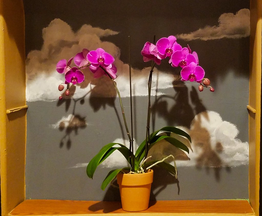 Orchids & clouds Guru Curry House on Grand Avenue, Oakland… Flickr