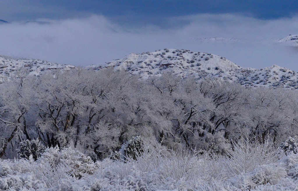 P1390087 Late winter snowfall near Los Alamos, New Mexico Scott