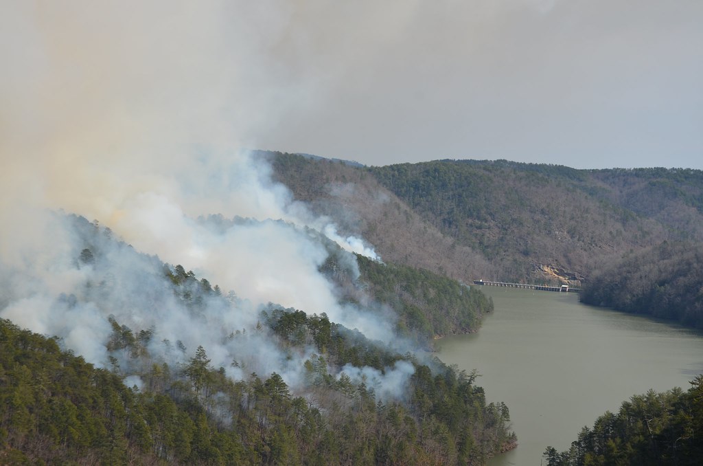 Prescribed fire at Tallulah in 2014_Valencia Morris_… Flickr