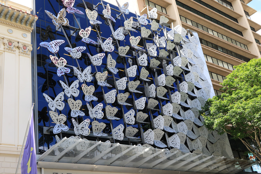 Butterfly Wall A few days in Brisbane at the start of our … Trevor