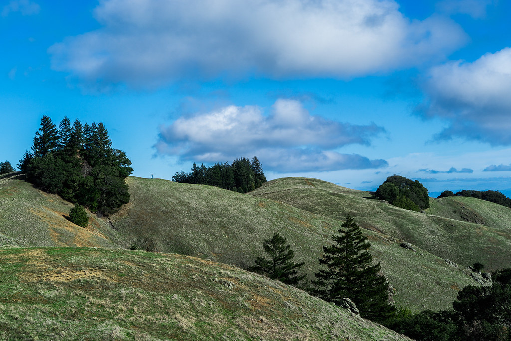 Rolling Hills of Bolinas Ridge Bolinas Ridge is such a soo… Flickr