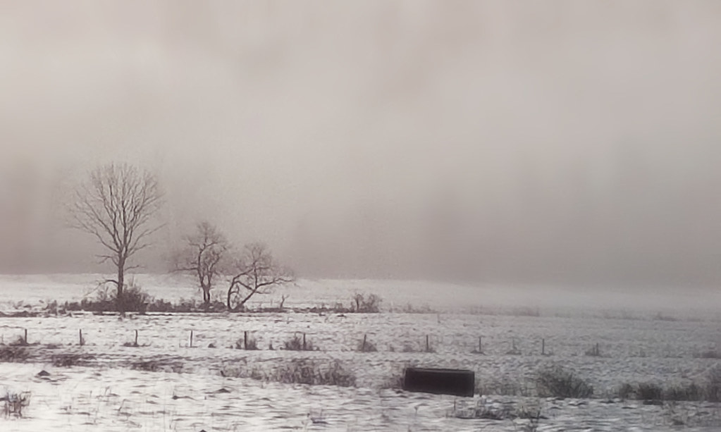 Hazen Road Foggy Morning 22119 1Final 2 Cropped Flickr