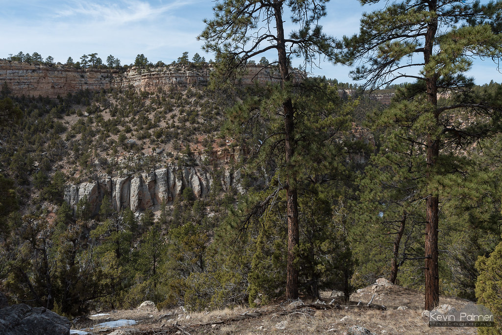 Salt Lick Canyon The Salt Lick Tr… Flickr