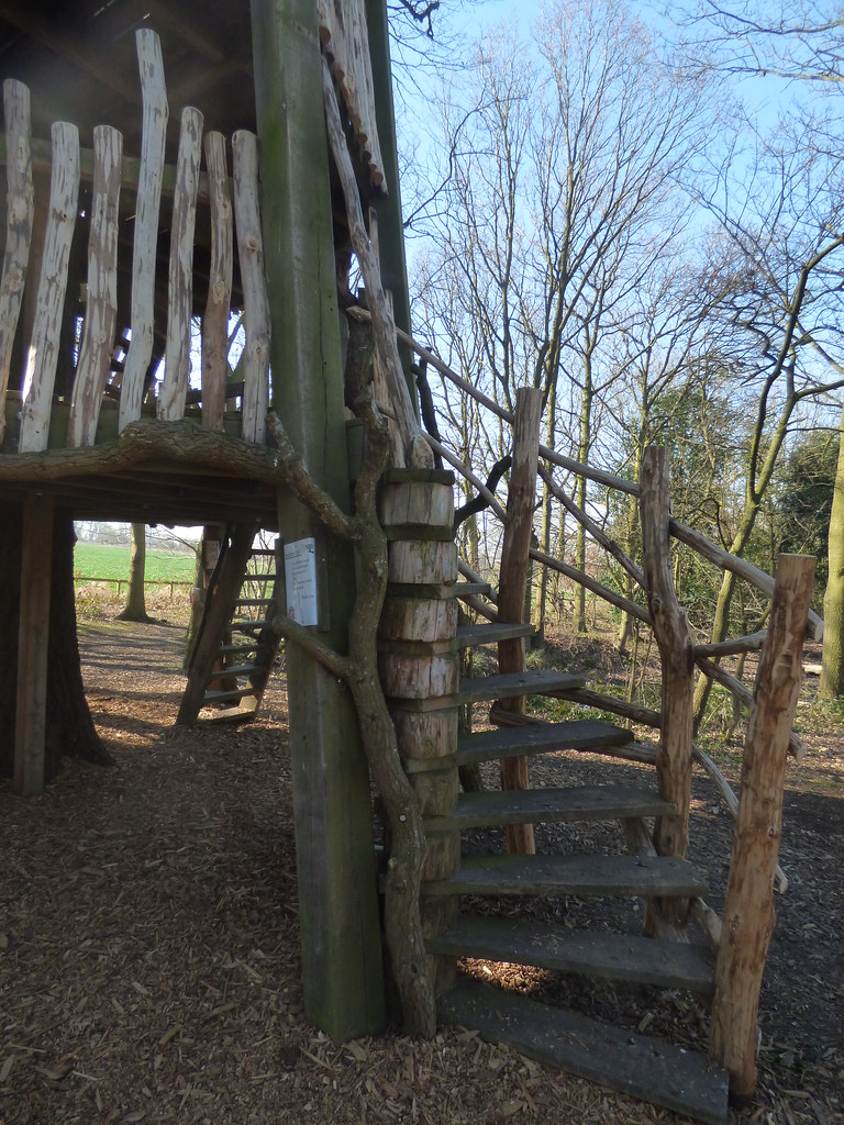Tree Hide at Moseley Old Hall steps up A late February 2… Flickr