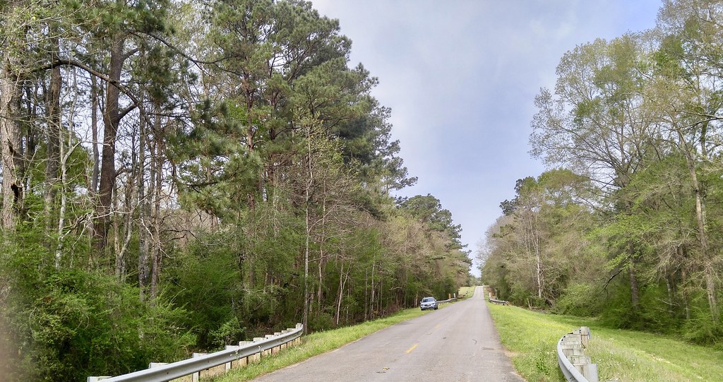 Hwy. 1048 near Little Natalbany Creek Habitat shot for eBi… Flickr