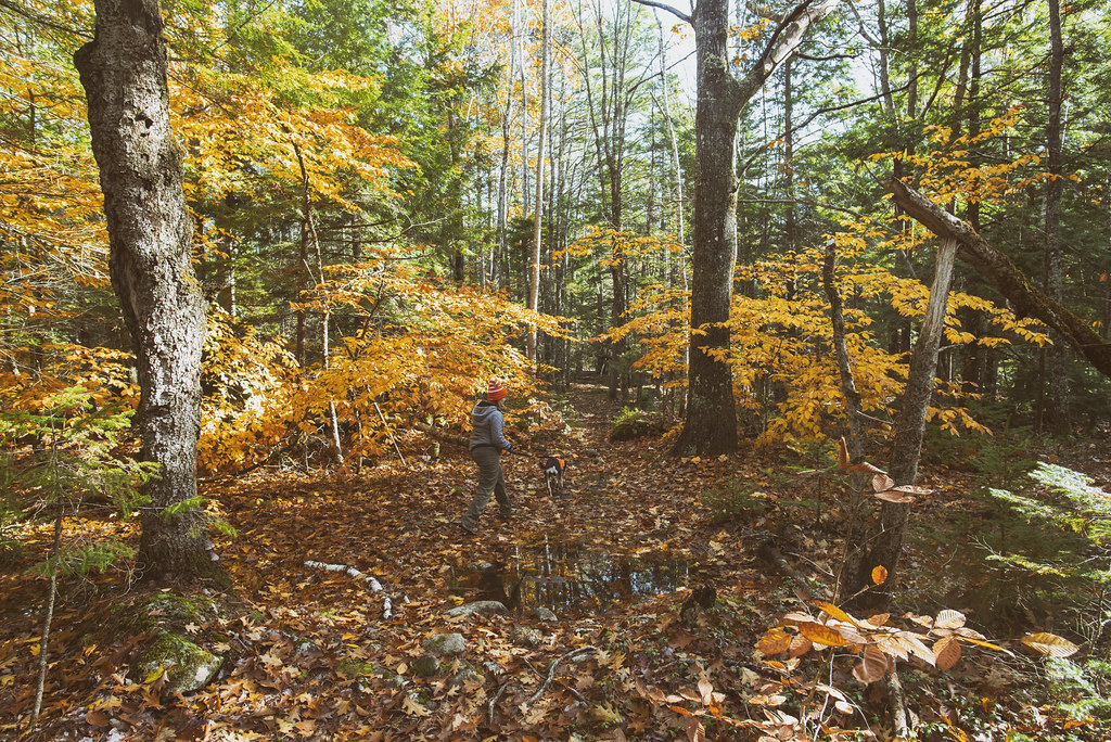 Dodge Point Preserve Newcastle Maine Photo by Jonmikel JM & K2