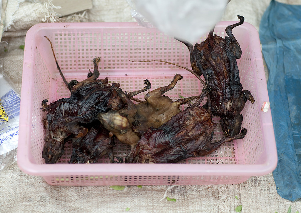 Dried rats sold in a market, Luang namtha, Laos © Eric Laf… Flickr