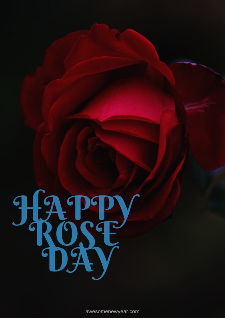 rose day images Looking for the best rose day images, Mess… Flickr