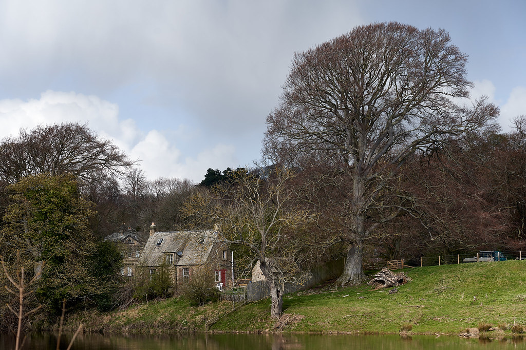 Hexham 2 Mike Ridley Flickr