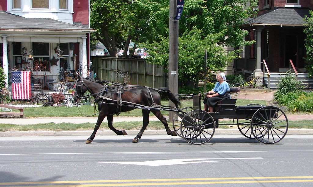 Woman Amish Driver in Intercourse, Pennsylvania Joseph Hollick Flickr