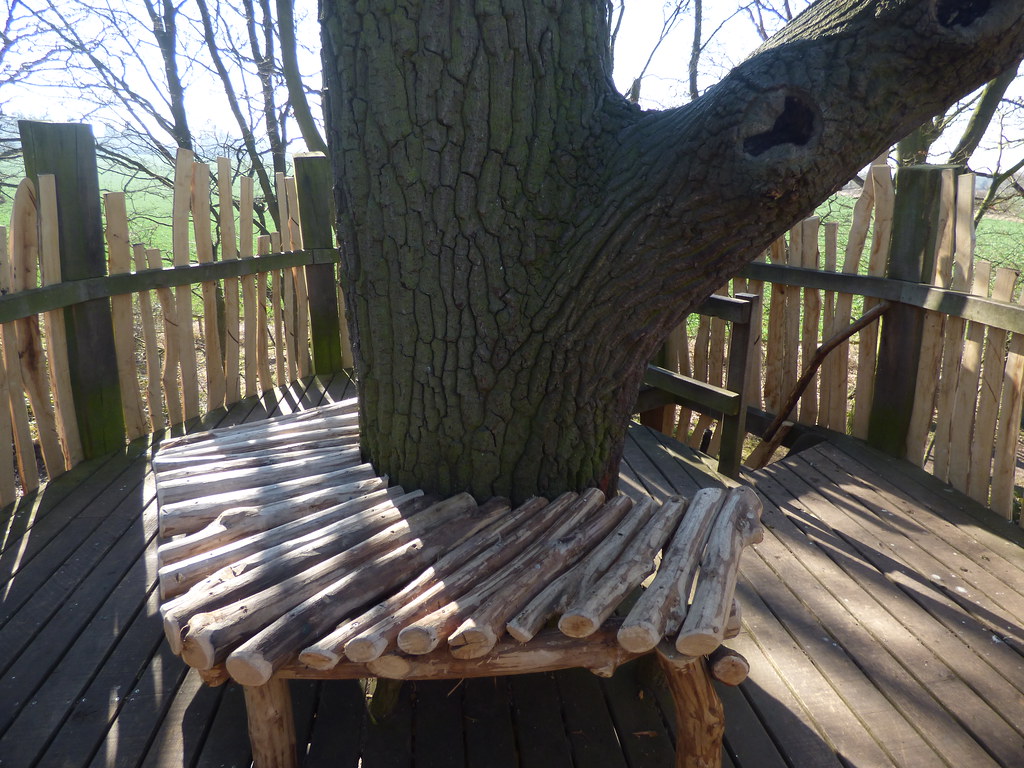 Tree Hide at Moseley Old Hall second level A late Februa… Flickr